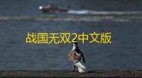 战国无双2中文版